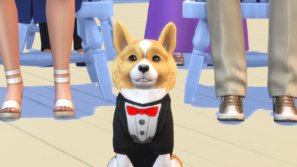 TS4_EP04_CORGI_TUX